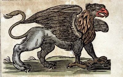 Znázornění grifonka, fantastické stvoření napůl orel napůl lev. Rytina z díla Athanasia Kirchera (1601 - 1680), jezuity, orientalisty a učence.