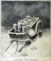 Malý komínový komín v blízkosti Fougères Dead from Frost - v “”Le Petit Journal””