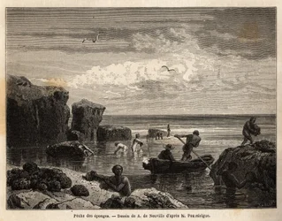 Rybaření houbami Islanders of Anastasia Island, nízká klisna, ženy a děti se shromažďují mezi kameny a muži se nalodí na kánoe, aby se potopili a získali je na dně moře. Rytina k ilustraci příběhu čtyři měsíce na Floridě, od Achille Po