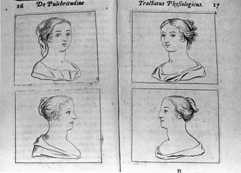 Různé ženské profily Page převzaté z "Tractatus physiologicus de beautye" pojednává o Ernesto Venio (Ernestus Vaenius) hájící krásu stvoření před anonymním protivníkem. 1612