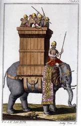 Slon, kterého Kartaginci používali jako zvíře k práci a válce. rytina - v “” Enciclopedia universale illustrata””
