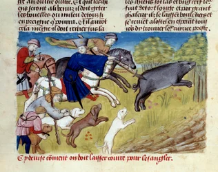 Miniaturní lov divočáků z „Knihy lovu“ od Gastona III. Phoeba, hraběte z Foix, lorda z Bearnu (1331-1391)