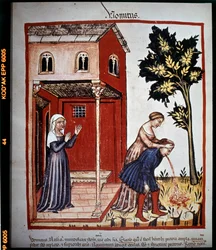 Pojednání o lékařství „Tacuinum sanitatis““ ze 14. století: zvracení. B.N, Vídeň.
