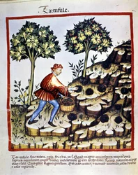 Neznámý obrázek