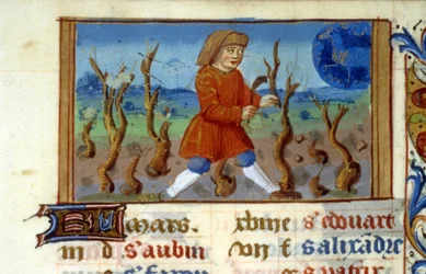 Zodiac Beran a velikost stromu - Miniatura středověku (ref. 137, 047r) - Vyžádejte si povolení od Městské knihovny v Toulouse (tel: 05 62 27 66 66)