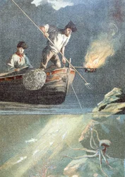 rybářská chobotnice