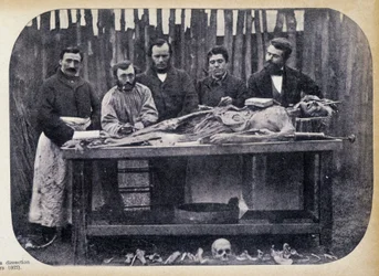 Pitva, v. 1865.