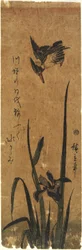 (Iris a ledňáček), 1830-1858
