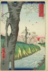 Koganei v provincii Musashi (Musashi Koganei), ze série „Třicet šest pohledů na horu Fuji (Fuji sanjurokkei)“