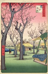 Plum Garden, Kamata, ze Sto slavných pohledů na Edo, únor 1857 (dřevořezový barevný tisk)