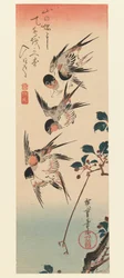 Tanzaku, Four Swallows, 1832 (barevný dřevotisk)