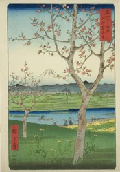 The Outskirts of Koshigaya in Musashi Province (Musashi Koshigaya zai), from the series "Thirty-six Views of Mount Fuji (Fuji sanjurokkei)"   1275243   cs       czech Successfully Translated  Original: The Apocalyptic Woman Translat: The Apocalyptic Woman 