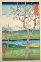 Předměstí Koshigaya v provincii Musashi (Musashi Koshigaya zai), ze série „Třicet šest pohledů na horu Fuji (Fuji sanjurokkei)“