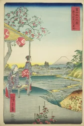 Pohled na horu Fuji z čajovny v Zoshigaya (Zoshigaya Fujimi chaya), ze série "Třicet šest pohledů na horu Fuji (Fuji sanjurokkei)"