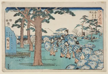 Prohlídka třešňového květu na kopci Asuka (Asukayama hanami no zu) (barevný dřevěný tisk)