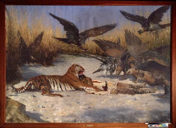 Lidožrout - Obraz Vasilije Vasiljeviče Vereščagina (Vassili Vereščagina) (1842-1904), olej na plátně, cca 1870-1880, ruské umění 19. století - Regionální muzeum umění W Wereshchagin, Mykolajiv (Ukrajina)