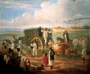 Sklizeň rákosu. Obraz Victor Patricio de Landaluze (1829-1889)