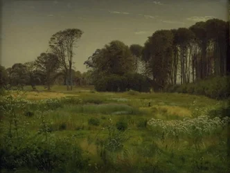 Letní krajina. Horneland poblíž Fåborgu
