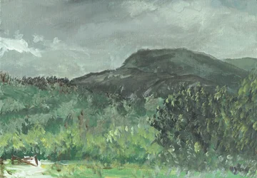 Hills v Creagdugh, 2006