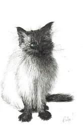Mladé dítě, 2004