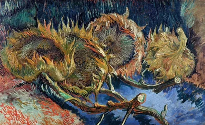 Čtyři řezané slunečnice, 1887.