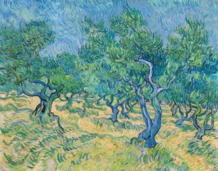 Olivový háj, 1889