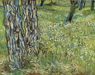 Kmeny stromů v trávě, 1890.