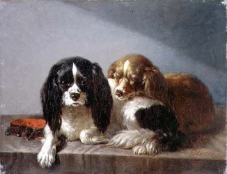 King Charles španělé