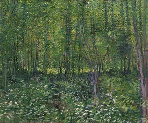 Stromy a podrost. 1887