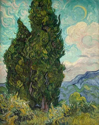 Cypřiše
