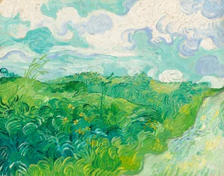 Zelená pšeničná pole, Auvers