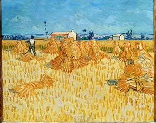 Žně v Provence červen 1888 (olej na plátně)