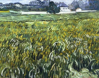 Dům v Auvers