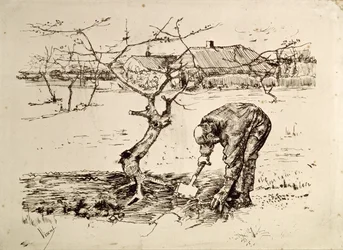 V sadu 1883