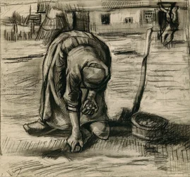 Rolnice sázející brambory