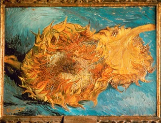 Slunečnice (malba na plátně)