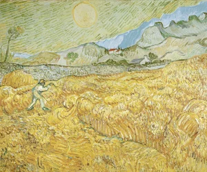 Harvester