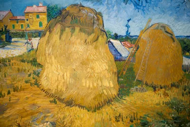 Stohy pšenice v Provence