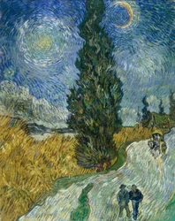 Cypřišová cesta pod hvězdnou oblohou