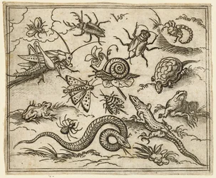 Skupina hmyzu a plazů na rovině s kameny, včetně leguána, ještěrky..., 1557.