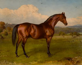 Retreat-Winner of the Doncaster Cup, c.1870-92 (olej na plátně)
