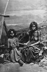 Australanka a její děti, 1902