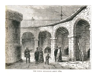 Tower Managerie, 1878