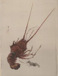 Raci, ca. 1887.