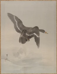 Létající husa, ca. 1887.