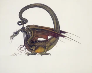 D jako Dragon