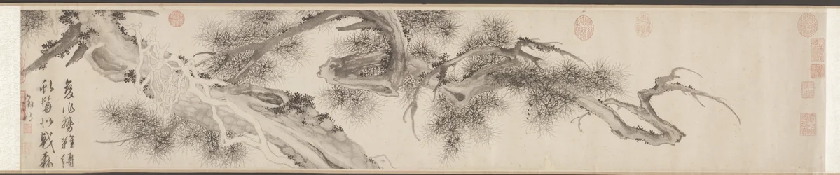 Old Pine Tree, pozdní 1530.