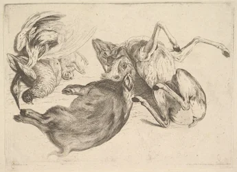 Kanec, jelen, volavka a jiná zvěř, 1625-77.