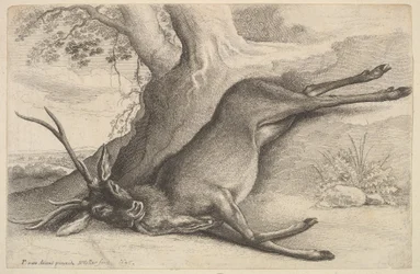 Mrtvý jelen, 1646.