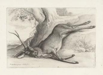 Doodgeschoten hert Jacht, jachthonden en wild (series title)   1406044   cs       czech Successfully Translated  Original: Dature Laevis (coloured engraving) Translat: Dature Laevis (coloured engraving) 1315553 cs czech Successfully Translated Original: Po